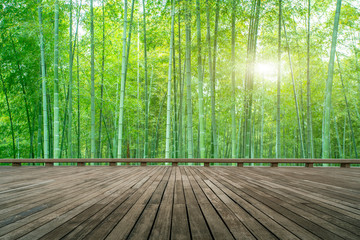 Wooden viewing platform and sunshine green bamboo forest..