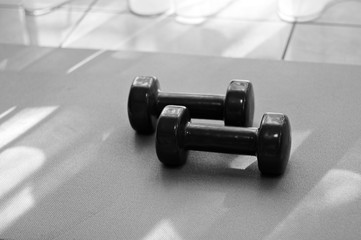 Gym workout at home with two small dumbbell weights and a gym mat (Pesaro, Italy, Europe)