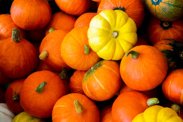 Pumpkin pile background. Colorful orange and yellow fresh mini pumpkin display in a stack. Nature vegetable food agriculture harvest season.