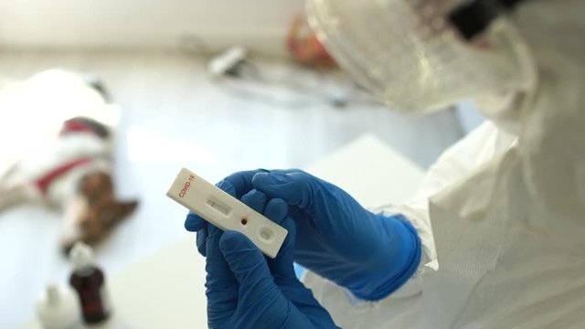 Microbiologist in a protective suit and glasses holding a test kit for viral disease COVID-19 2019-nCoV. Lab card kit tested NEGATIVE for viral novel coronavirus sars-cov-2 virus. Rapid test covid 19