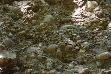 stones in the earth
