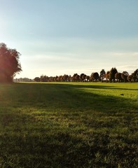 Landscape with trees