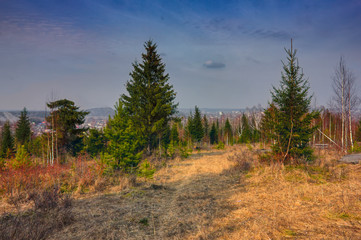 Forest meadow field landscape. Early spring forest meadow view. Forest meadow scene.