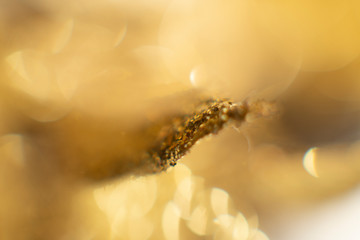 Abstract golden background with bokeh. holidays lights on background
