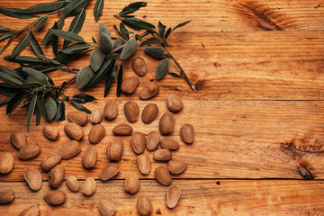 Rama del almendro con almendras verdes y otras listas para comer