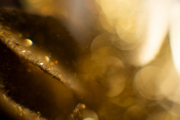 Abstract golden background with bokeh. holidays lights on background