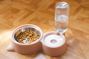 Pink bowl for cat. Bowl with ears and a bottle for water.