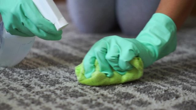 Woman cleaning carpet