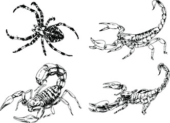 vector drawings sketches different insects bugs Scorpions spiders drawn in ink by hand , objects with no background