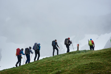 Group of male tourists with backpacks climbing grassy hill. Brave alpinists walking uphill in...