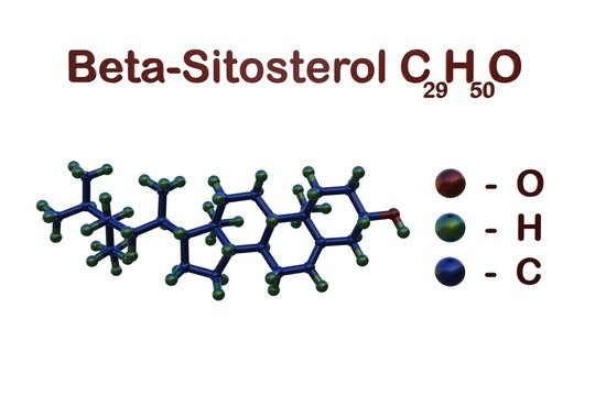 Structural chemical formula and molecular model of beta-sitosterol, one of the several phytosterols with chemical structures similar to that of cholesterol. Scientific background. 3d illustration