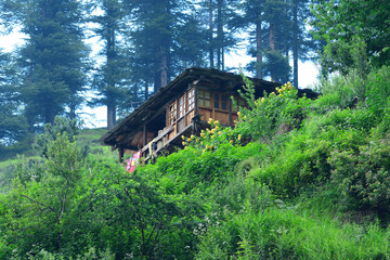 Beauty of Himalayas