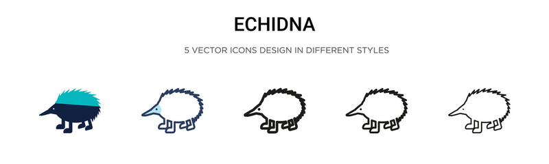 Echidna icon in filled, thin line, outline and stroke style. Vector illustration of two colored and black echidna vector icons designs can be used for mobile, ui, web