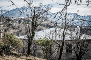 Fototapety na wymiar - Fototapeta24.pl