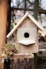 Homemade birdhouse on   street
