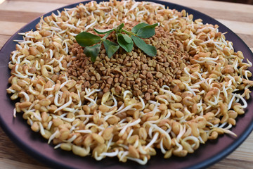Fenugreek seed and sprouts image clicked at morning in Pune