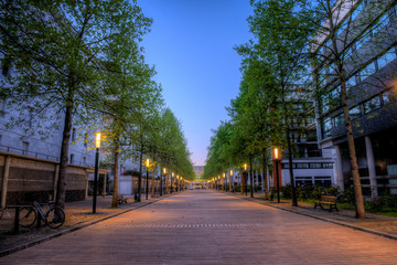 rue pavée du centre ville de Nantes au lever du jour avec allée d'arbre