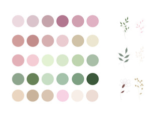 neutrals color palette and abstract flowers, procreate  swatches, workpiece icons. Highlights of Cover Stories.
