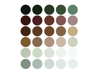 neutrals color palette, procreate  swatches