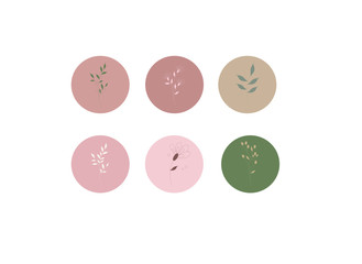 neutrals color palette and abstract flowers, procreate  swatches, workpiece icons