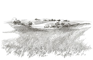 Vector schets Groen grasveld op kleine heuvels. Weide, alkali, loog, grasland, pommel, lea, weiland, boerderij. Landelijk landschap landschap panorama van platteland weiden. illustratie