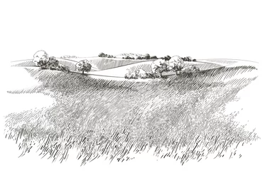 Fotobehang Vector schets Groen grasveld op kleine heuvels. Weide, alkali, loog, grasland, pommel, lea, weiland, boerderij. Landelijk landschap landschap panorama van platteland weiden. illustratie © mozart3737