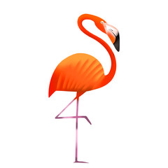 Cartoon Pink flamingo sketch. Stylized colorful illustration of tropic bird isolated on white background.