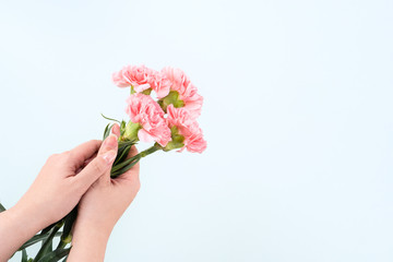 Mother's Day background, carnation bunch - Beautiful pale pink flower bouquet isolated on pastel blue table, top view, flat lay, copy space design.