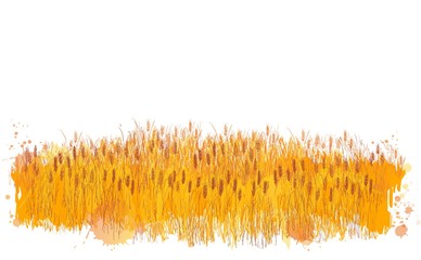 Vector rural summer landscape a field of ripe wheat on hills © mozart3737