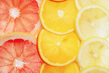 translucent slices of lemon, orange and grapefruit on a white background, citrus fruit slices,...