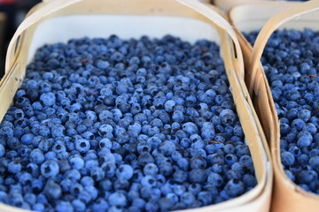 Wild Blueberries in a basket.