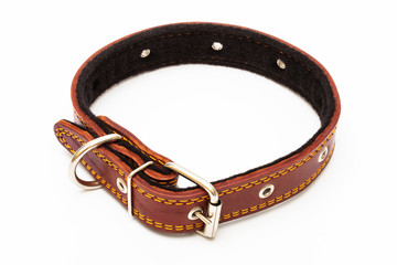 Leather dog collar on white background