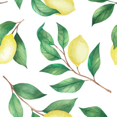 Lemon pattern on a white background painted by watercolor. Isolated drawing on a white background