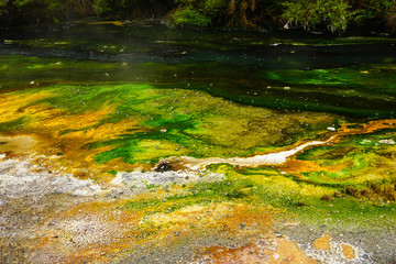 WAIMANGU VOLCANIC VALLEY, NEW ZEALAND - MARCH 03, 2020: Multicoloured shore of a acidic river with a strange patterns
