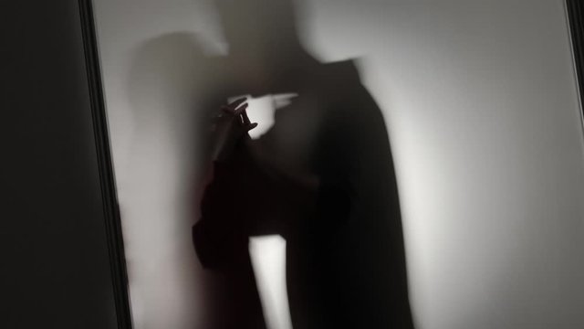 Silhouette of a couple in love kissing behind the glass. Slow motion.