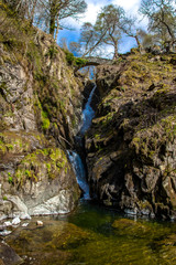 Aira force waterfall in the forest.