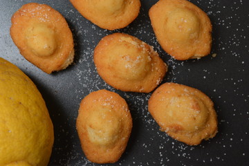 madeleine dolci francesi