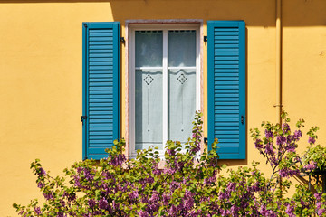 Fototapeta na wymiar Italian window on the yellow wall facade with open green color classic shutters with blooming flowers in front