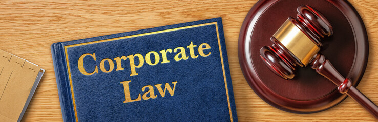 A gavel with a law book - Corporate Law - obrazy, fototapety, plakaty