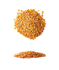 Ziarna kukurydzy usypane w stos na białym tle