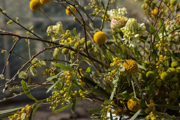 Flower arrangement with roses and craspedia in the garden