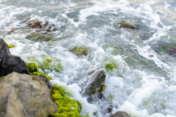 Water is breaking on the rocks. Sea foam and seaweed on the rocks.