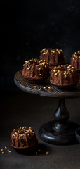 Chocolate Mini Bundt Cakes