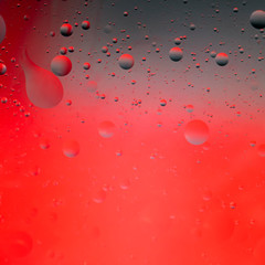 Drops of vegetable oil in water on a red background.