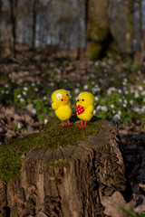 Two lovely Easter yellow chicken, a boy and a girl, discussing something among themselves.