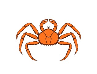 King crab logo. Isolated king crab on white background