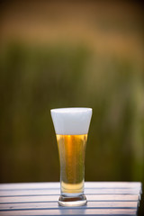 麦畑と生ビール