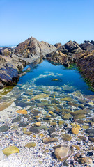 Rocky beach front, Cape Town, South Africa