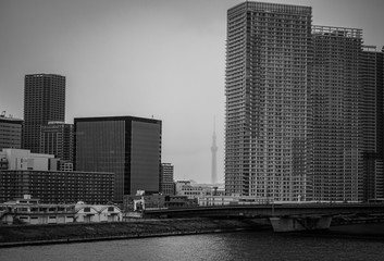 Fototapeta premium Tower Tokyo Sky Tree in the background from Odaiba Bay, Tokyo.
