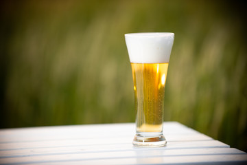 麦畑と生ビール